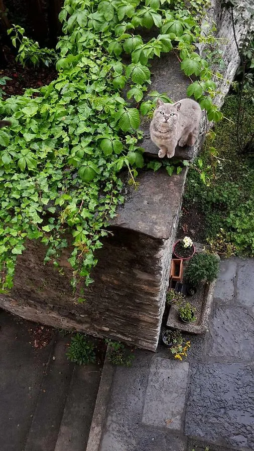 Appartamenti Raineri Domaso